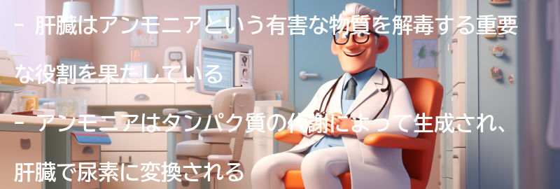 肝臓のアンモニア解毒能とはの要点まとめ