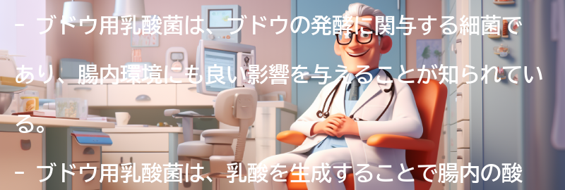 ブドウ用乳酸菌とは？の要点まとめ