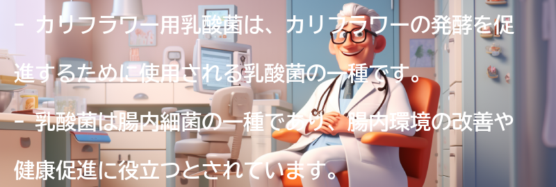 カリフラワー用乳酸菌とは何か？の要点まとめ